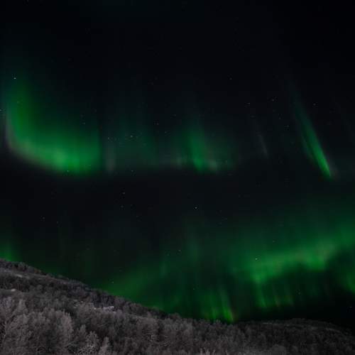 Photo #10349883