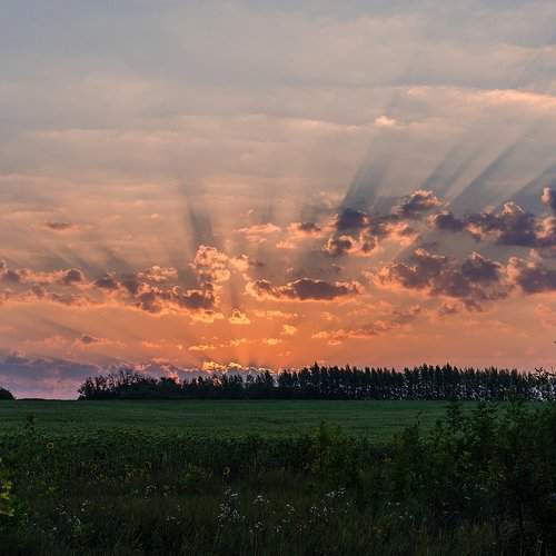 Рукава Будды