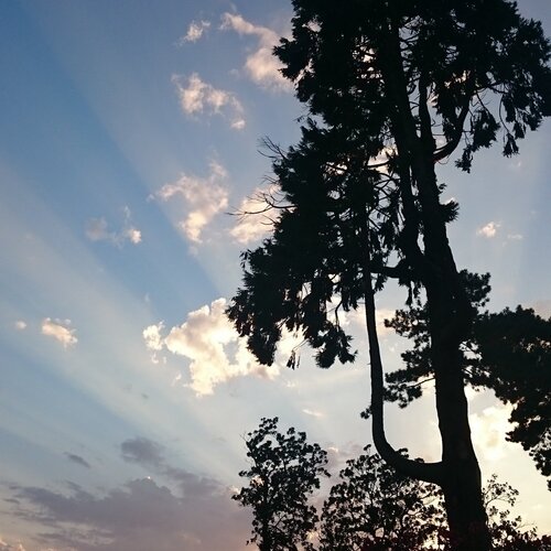 Photo #1036822