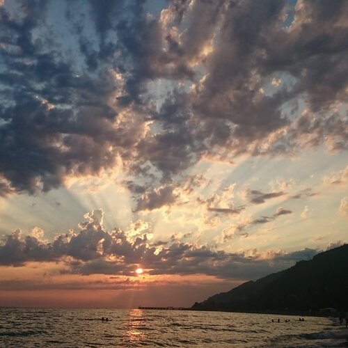 Photo #1036828