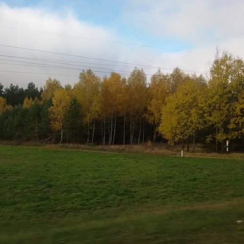 природа родной земли