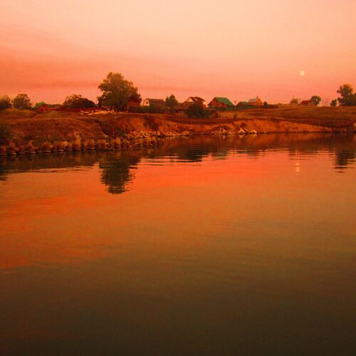 Photo #1039625