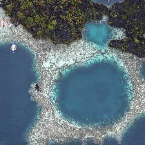 Photo #10350343