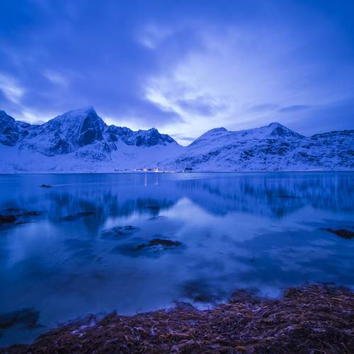 Photo #10350995