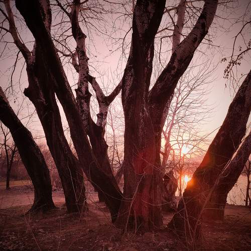 Свет зимнего заката / The Light Of A Winter Sunset