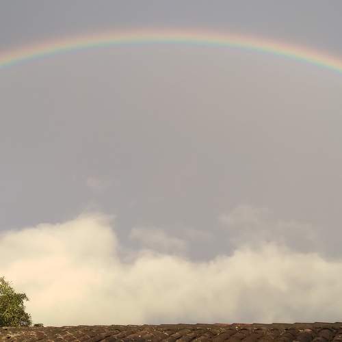 Photo #10351398