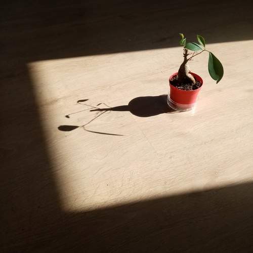 Photo #10351618