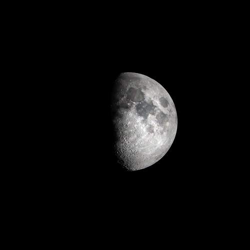 Photo #10351701