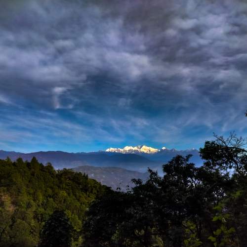 Photo #10351712