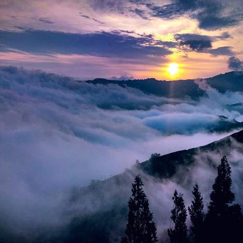Beauty of creation