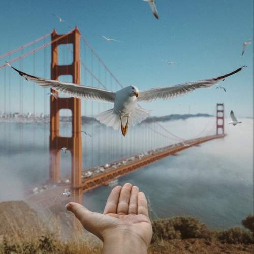 Photo #10351735