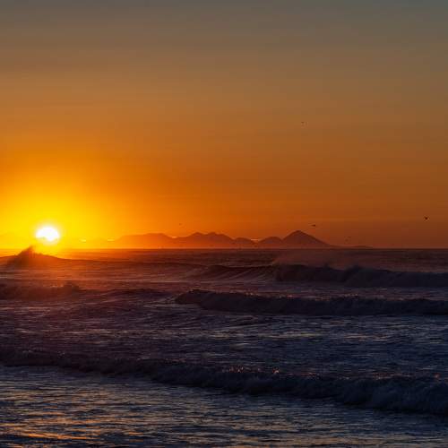 Photo #10352321