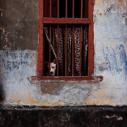 Photo #10352403
