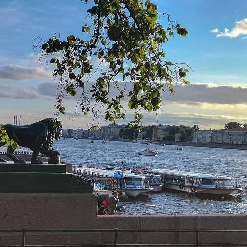 Photo #10352560