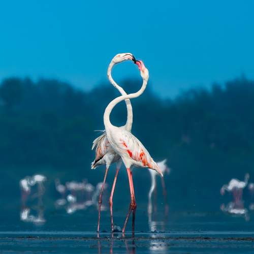 Photo #10352609