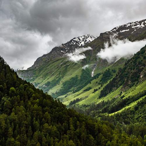 Photo #10353155