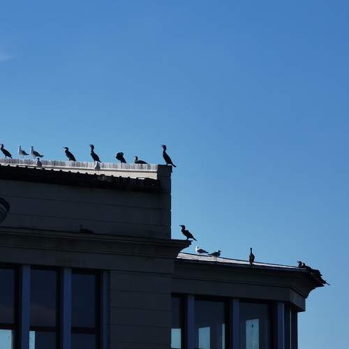 Photo #10353287