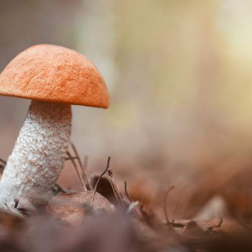 Photo #10353856