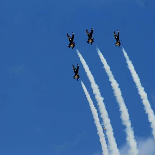 Photo #10354015