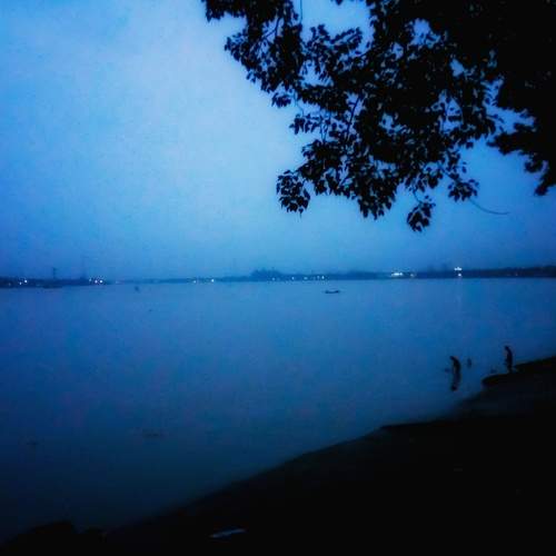 Photo #10354218