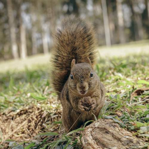 Photo #10354433