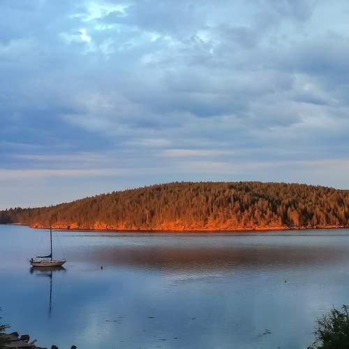 Photo #10354508