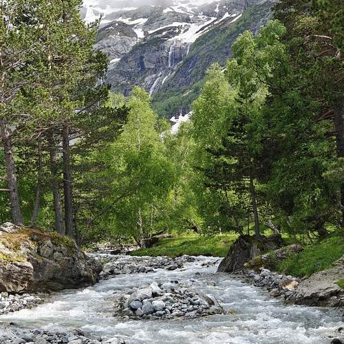Photo #10354882