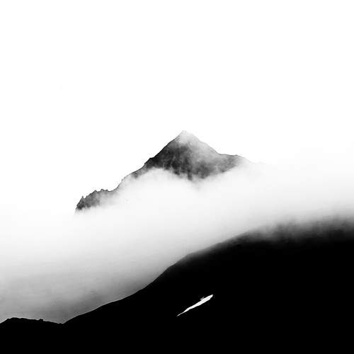 Photo #10354932