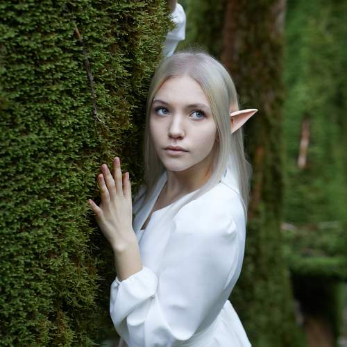 Фотография #10354967