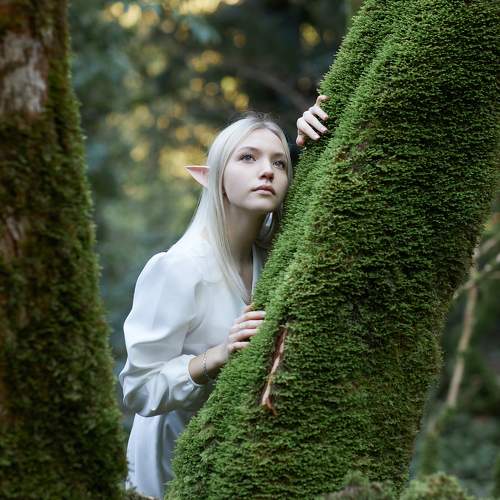 Фотография #10354981