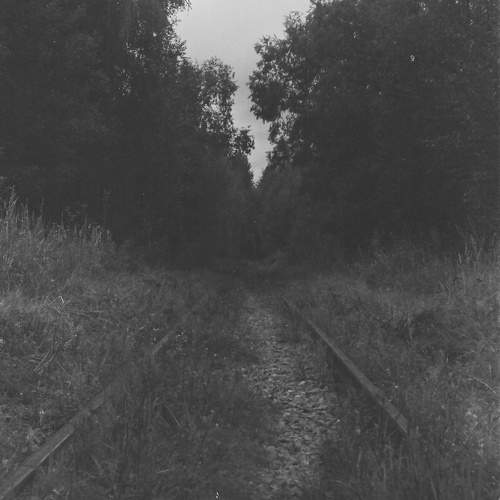 Photo #10354999