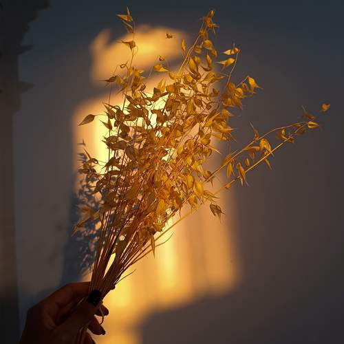 Photo #10355118