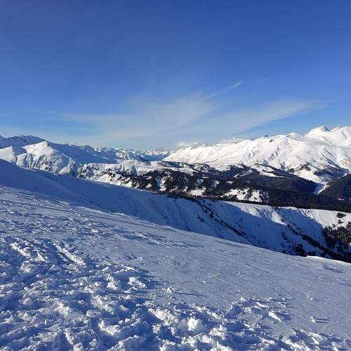 Photo #10355144