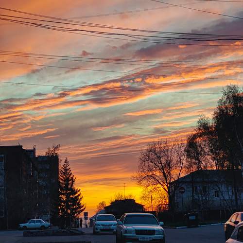 Photo #10355639