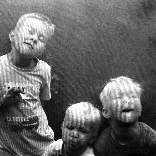Photo #10355748