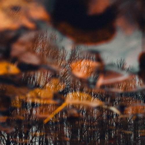 Photo #10355838