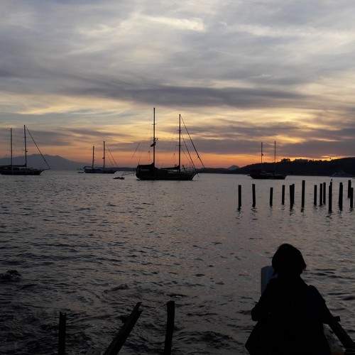 Photo #10356243