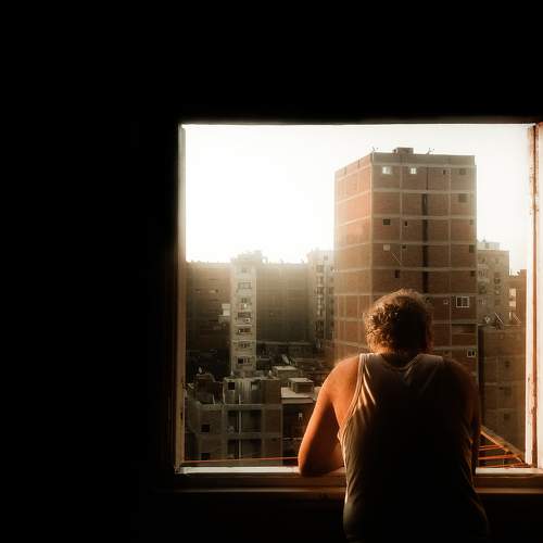 Looking out the window