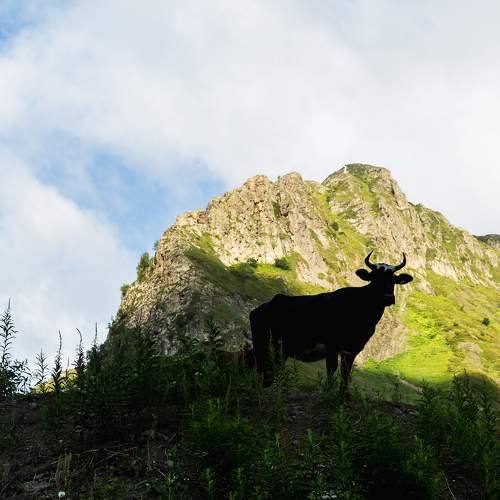 Photo #10357563