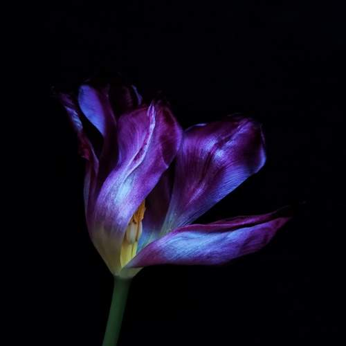 Photo #10357836