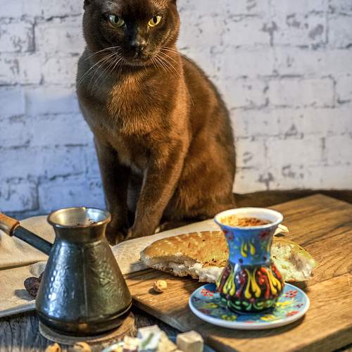 Photo #10357918