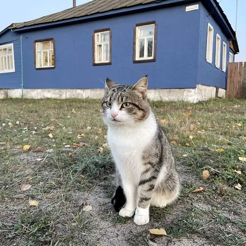 Photo #10358062