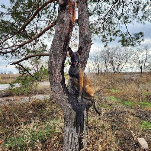 Photo #10358104