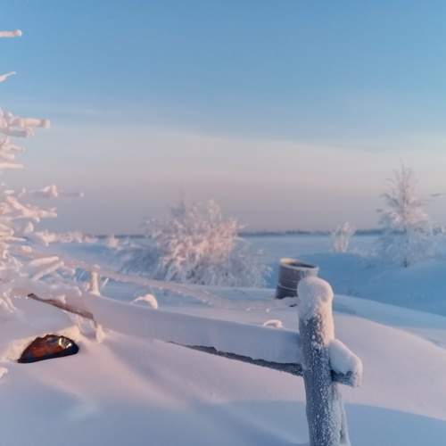 Photo #10358177