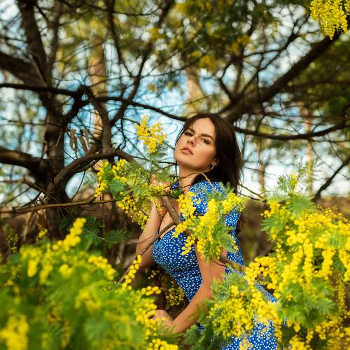 Photo #10358217