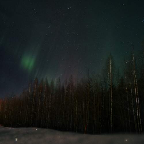 Photo #10358328