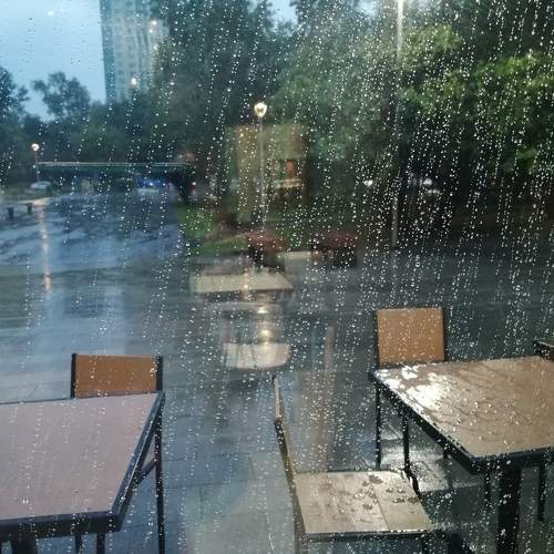 Photo #10358537