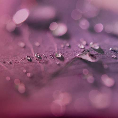 Photo #10358576