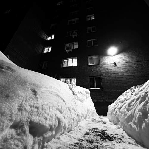 Photo #10359017