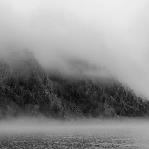Photo #10359375